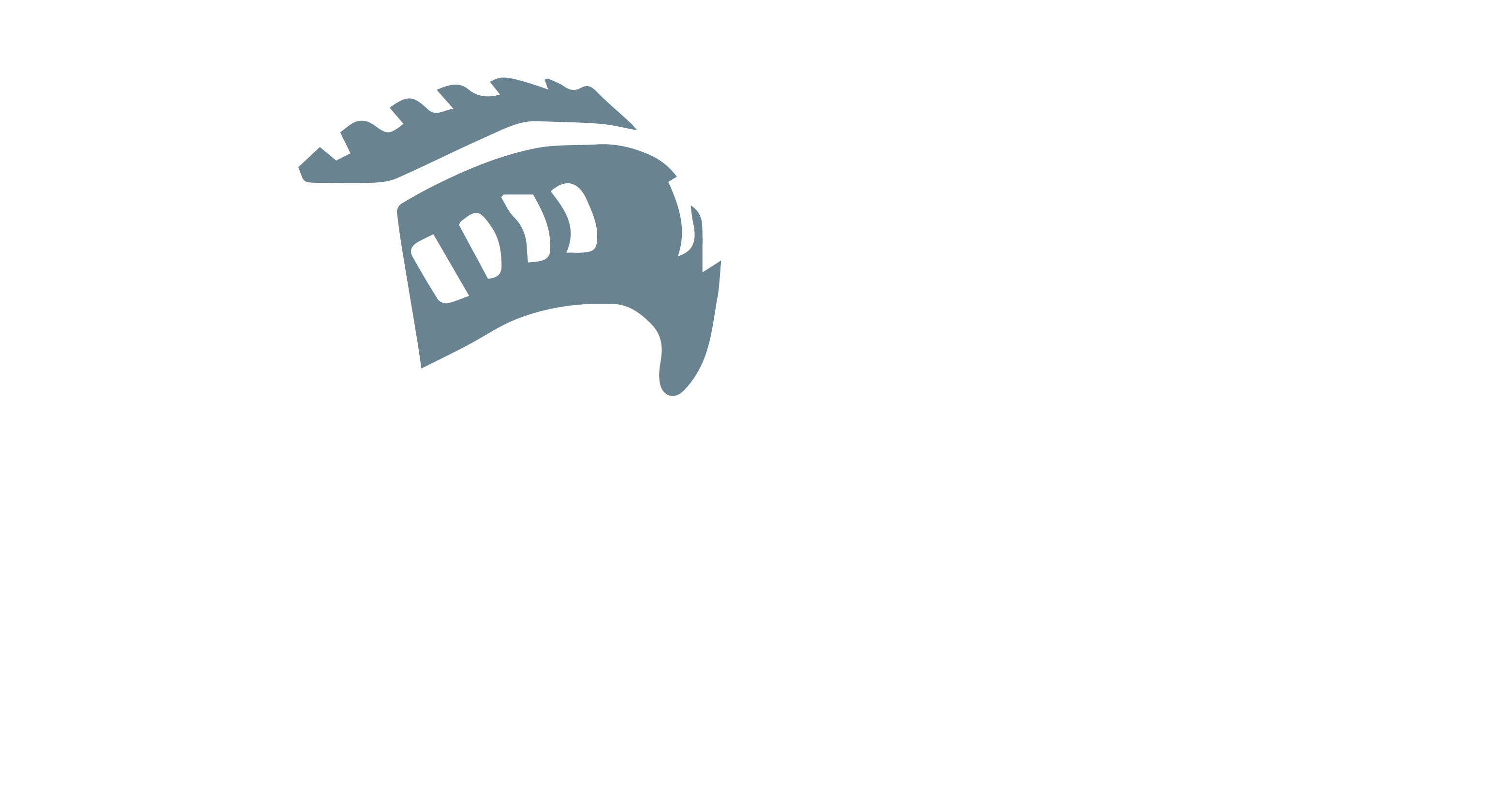 KTT Logo - White